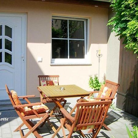 Ferienwohnungen _ Haus Lisa_ Senftenberg Exteriér fotografie
